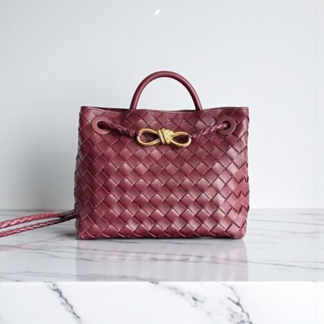 Bottega Veneta Small Andiamo Bag