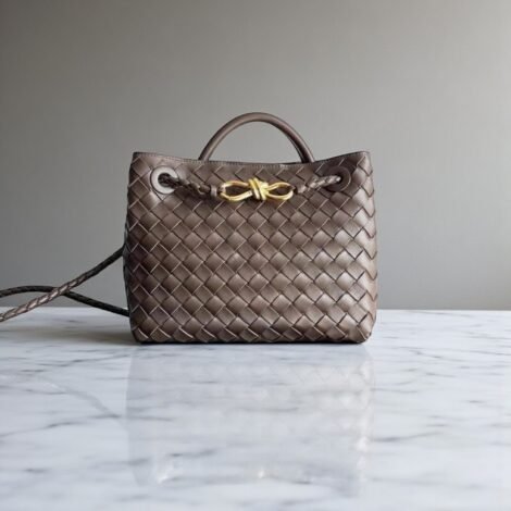 Bottega Veneta Small  Andiamo Bag